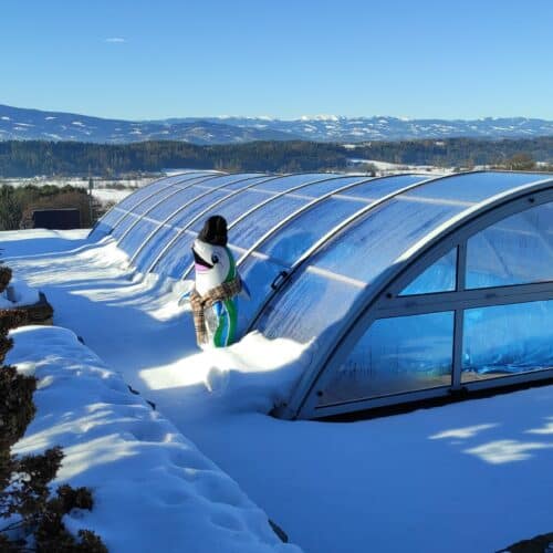 eingewinteres Pool mit Cabriodom, Cranpool im Winter, Schwimmbad im Schnee