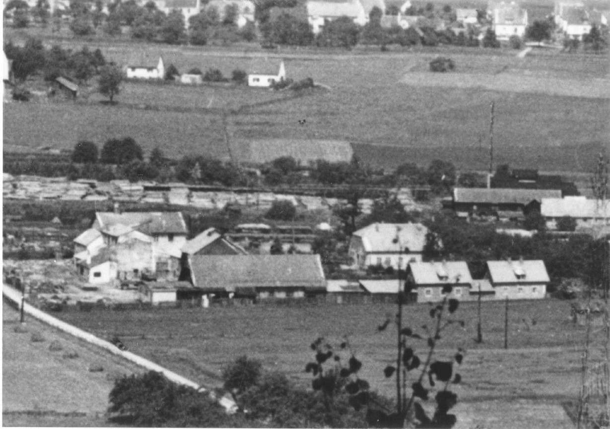 Cranpool 1959, Holzwolle Erzeugung in Kraubath