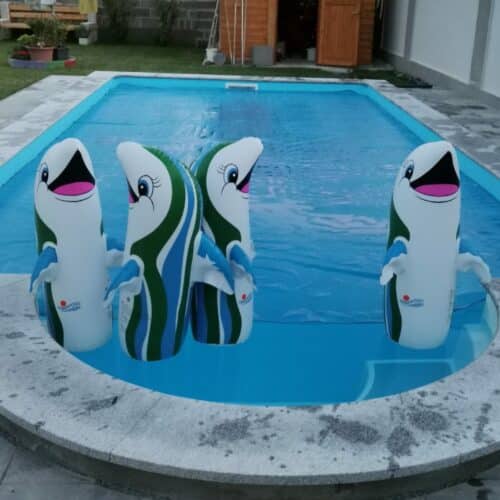 Poolprojekt Manfred Blümel Schwimmbadbau Cranthermo Pool