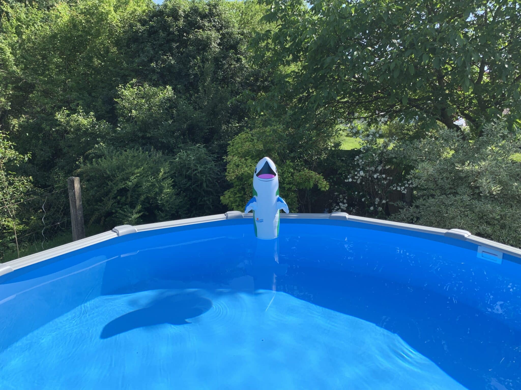 in-allen-pool-fragen-sehr-gut-beraten-ingrid-hornung-cranpool