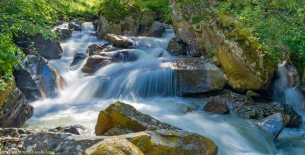 Wie Sie mit Cranpool Wasser nachhaltig nutzen.