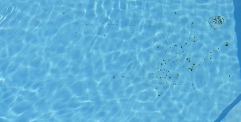 Wasser mit feinem Schmutz