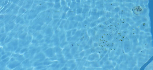 Wasser mit feinem Schmutz