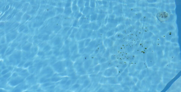 Wasser mit feinem Schmutz