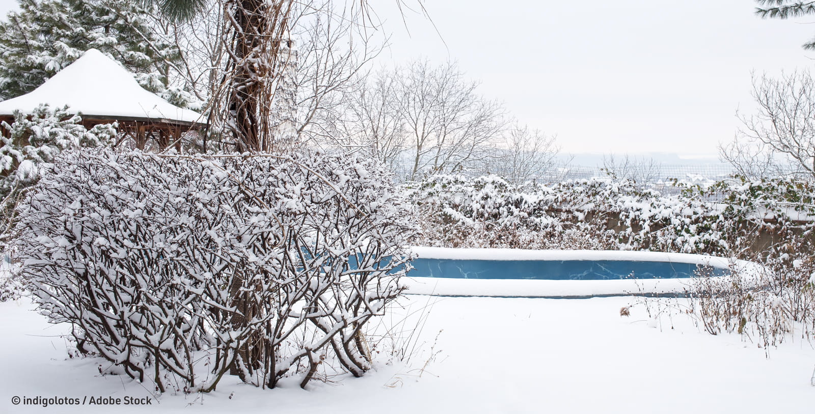 Ovales Pool in Winterlandschaft