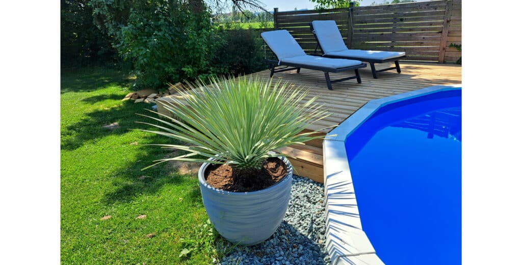 Royal Rundpool – ein Pooltraum mit echtem Mehrwert für den Garten