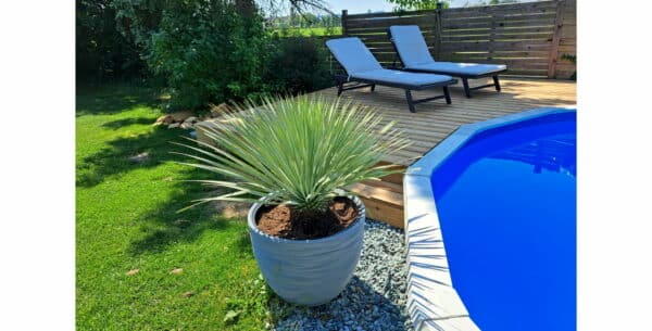 Sun Royal Rundpool – ein Pooltraum mit echtem Mehrwert für den Garten