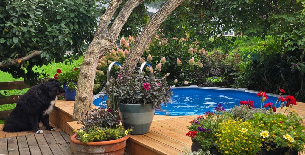 Rimini Pool rund im Vordergrund Holzdeck mit Blumen