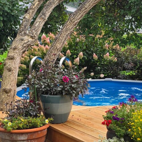 Rimini Pool rund im Vordergrund Holzdeck mit Blumen